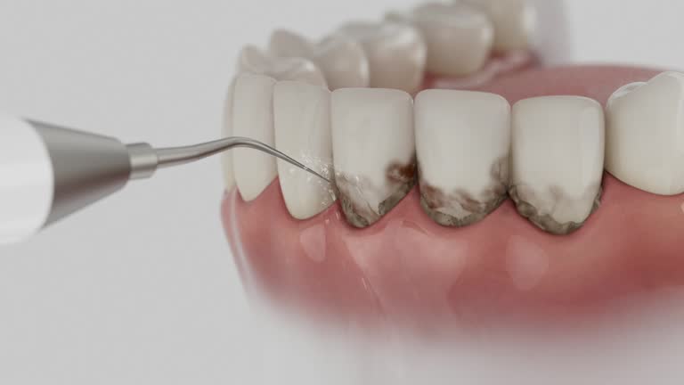 Reliable Dental contractor in Park Forest, IL by Dentist Open Now